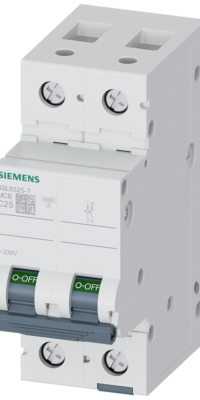 LS-SCHALTER 6KA 1+N-POL C25